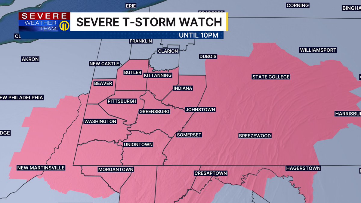 Stephanie Allison tweet media