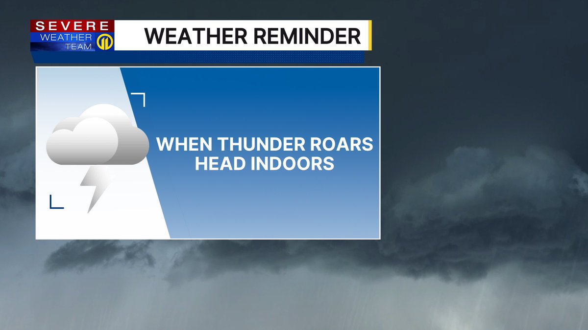 Stephanie Allison tweet media