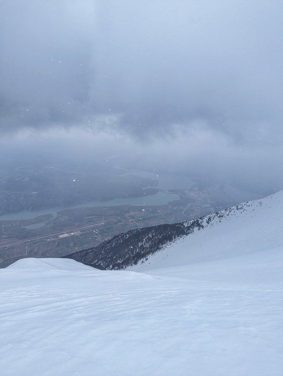 Demush Shasha tweet media