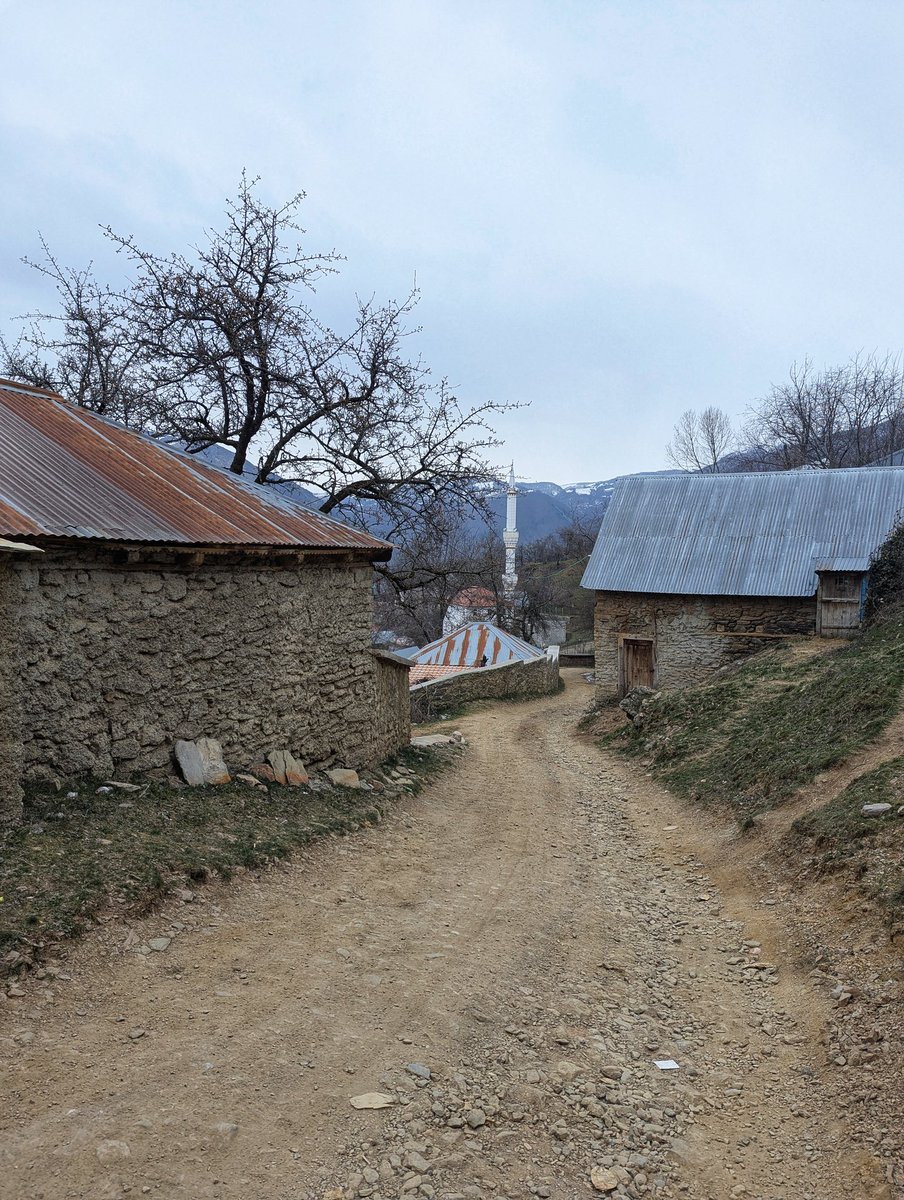 Demush Shasha tweet media