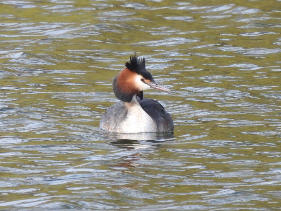 Mark Clements tweet media