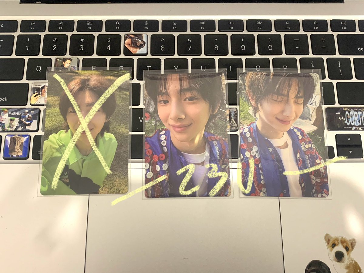 Kava mt after dm tweet media