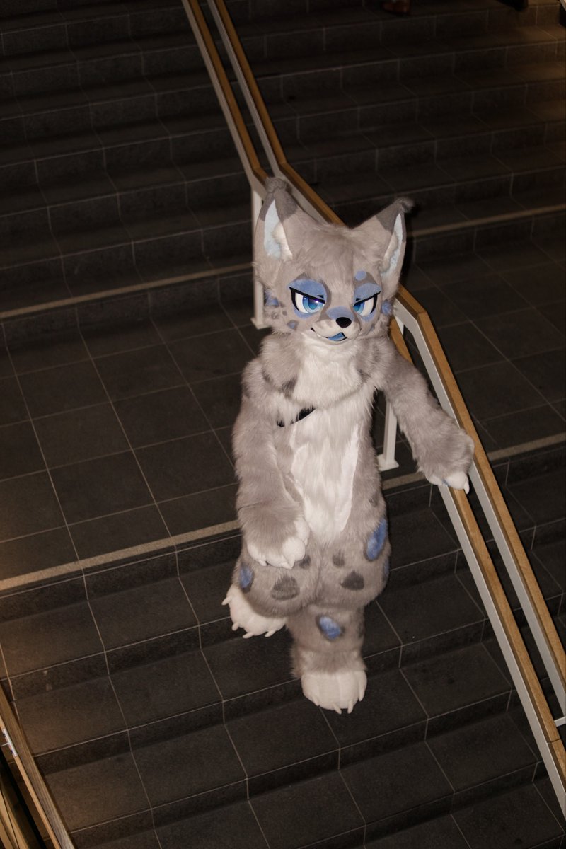 mira 🔜 TFF tweet media