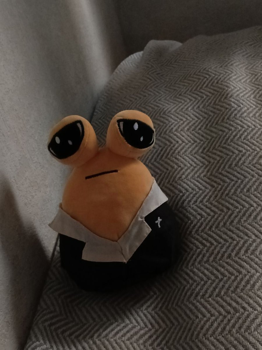 кшьк tweet media