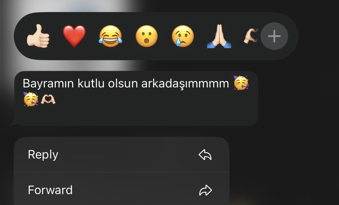 ethem🇵🇸🇺🇸 tweet media