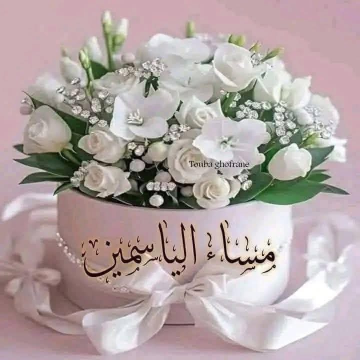 أسامه الاشقر tweet media