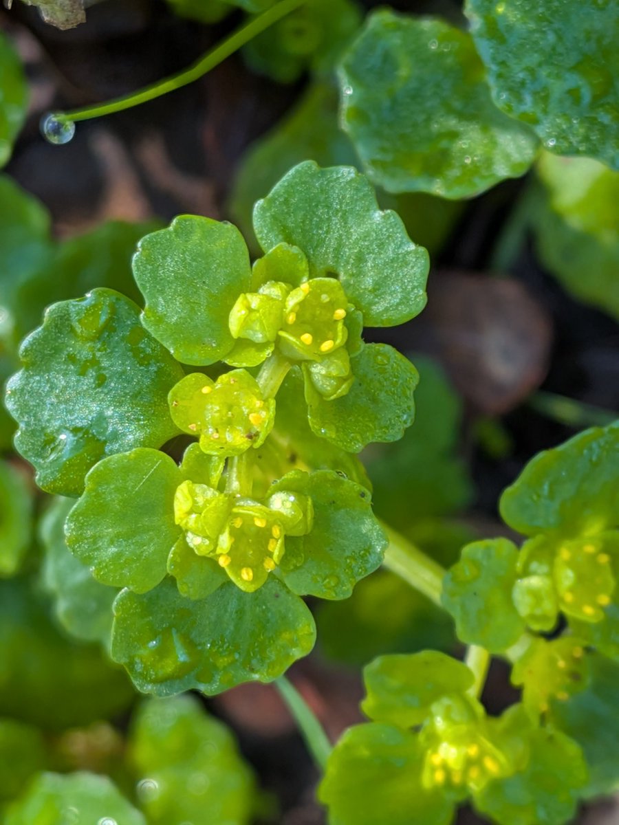 Brian Hedley tweet media