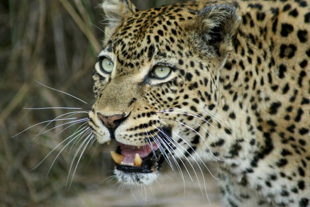 Michael Fleetwood tweet media