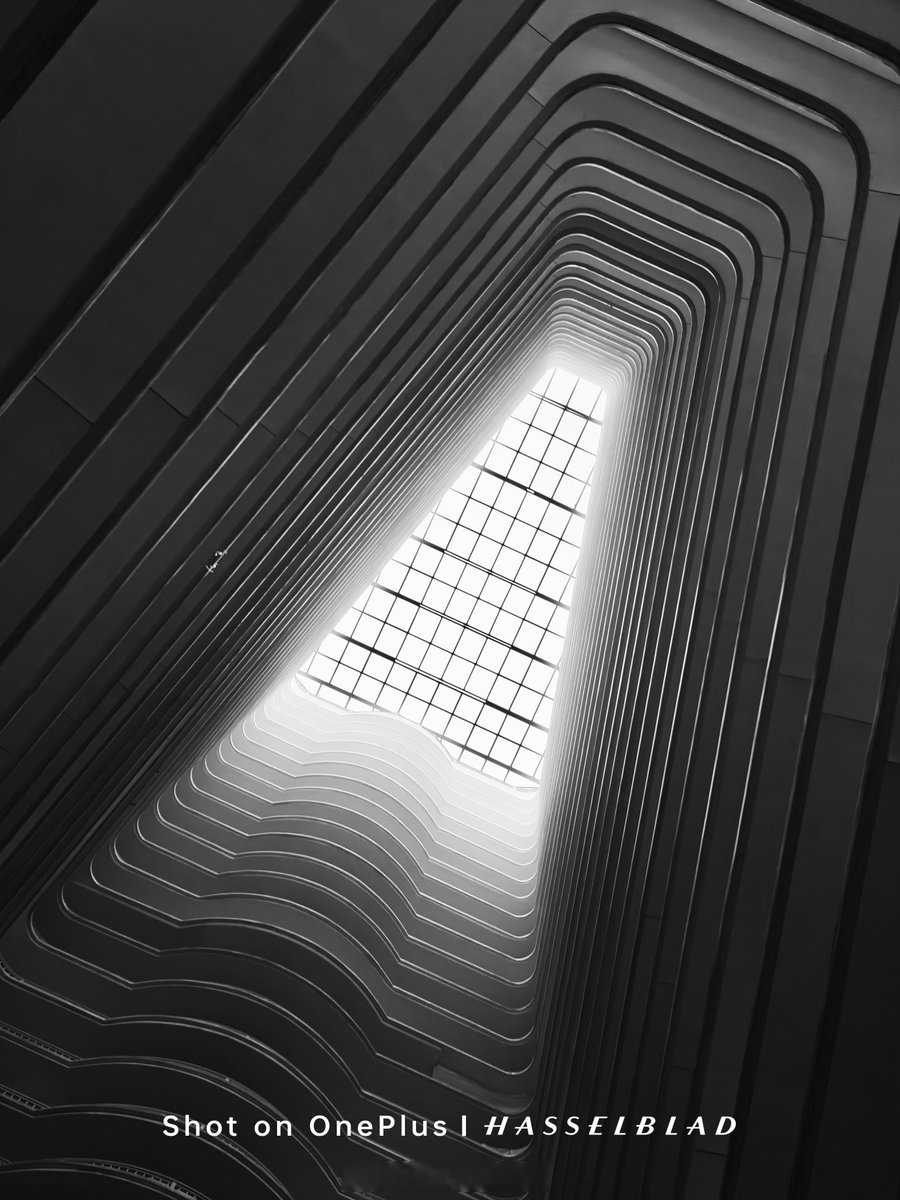 Andrea Reino Webb tweet media