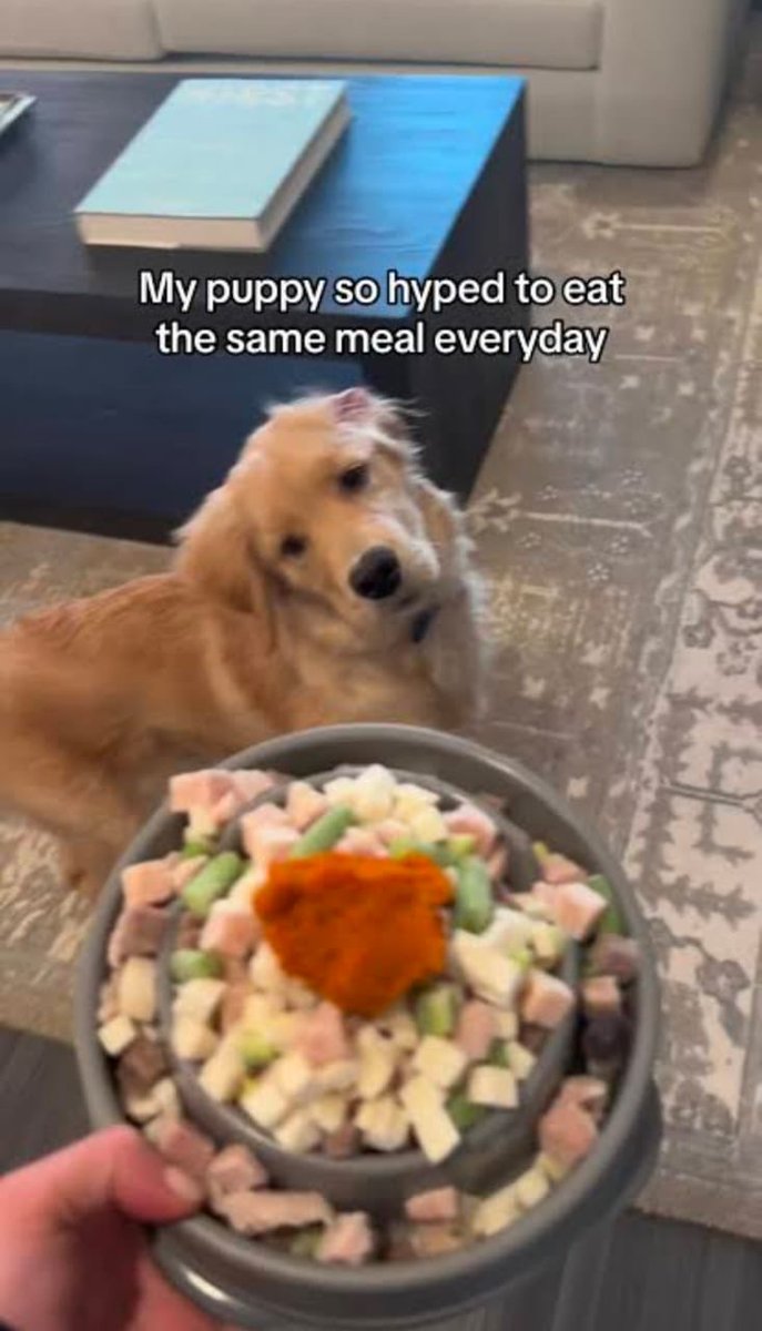 lilia?! 🪭 tweet media