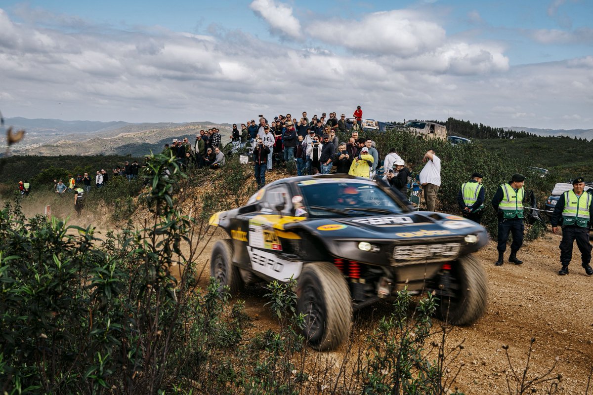 Mediagé Comunicación tweet media