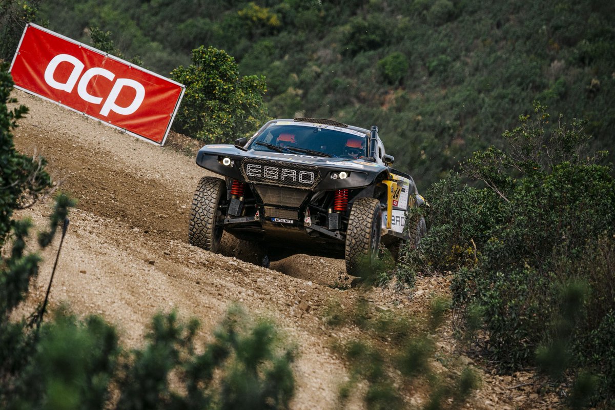 Mediagé Comunicación tweet media