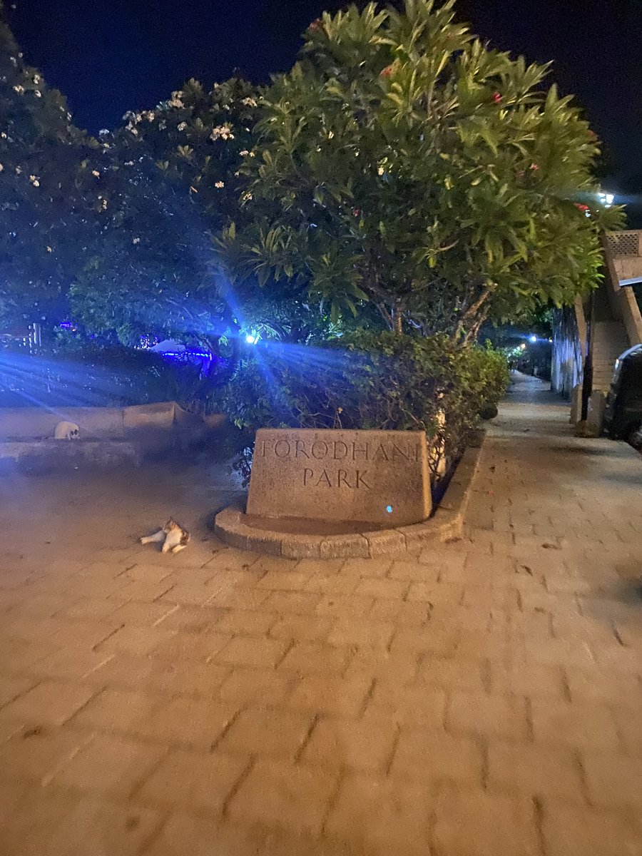 Charismatic Chika ✨ tweet media