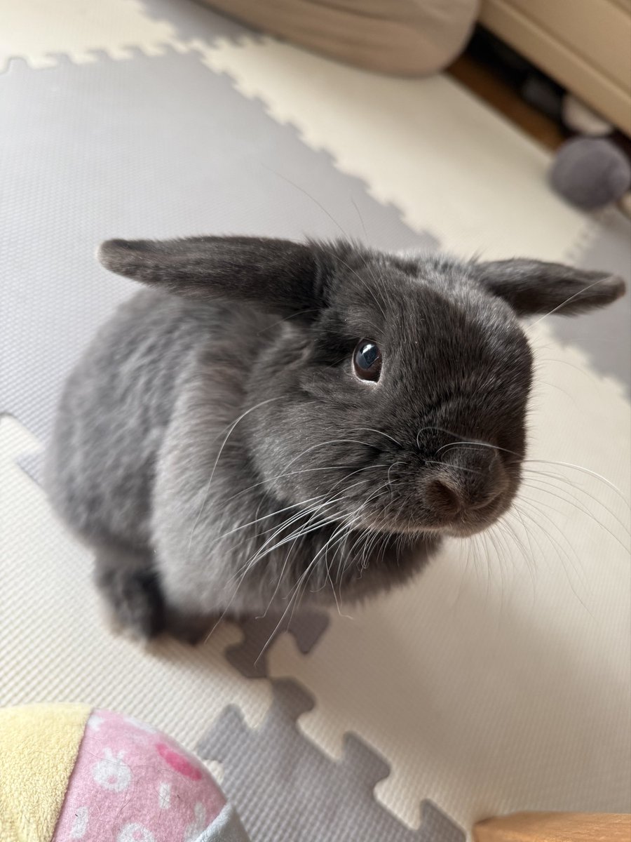 なさお tweet media