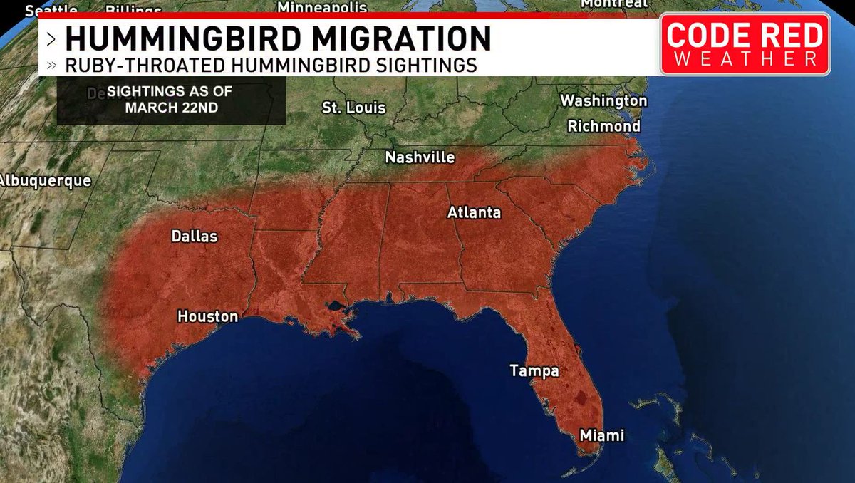 Katy Morgan tweet media