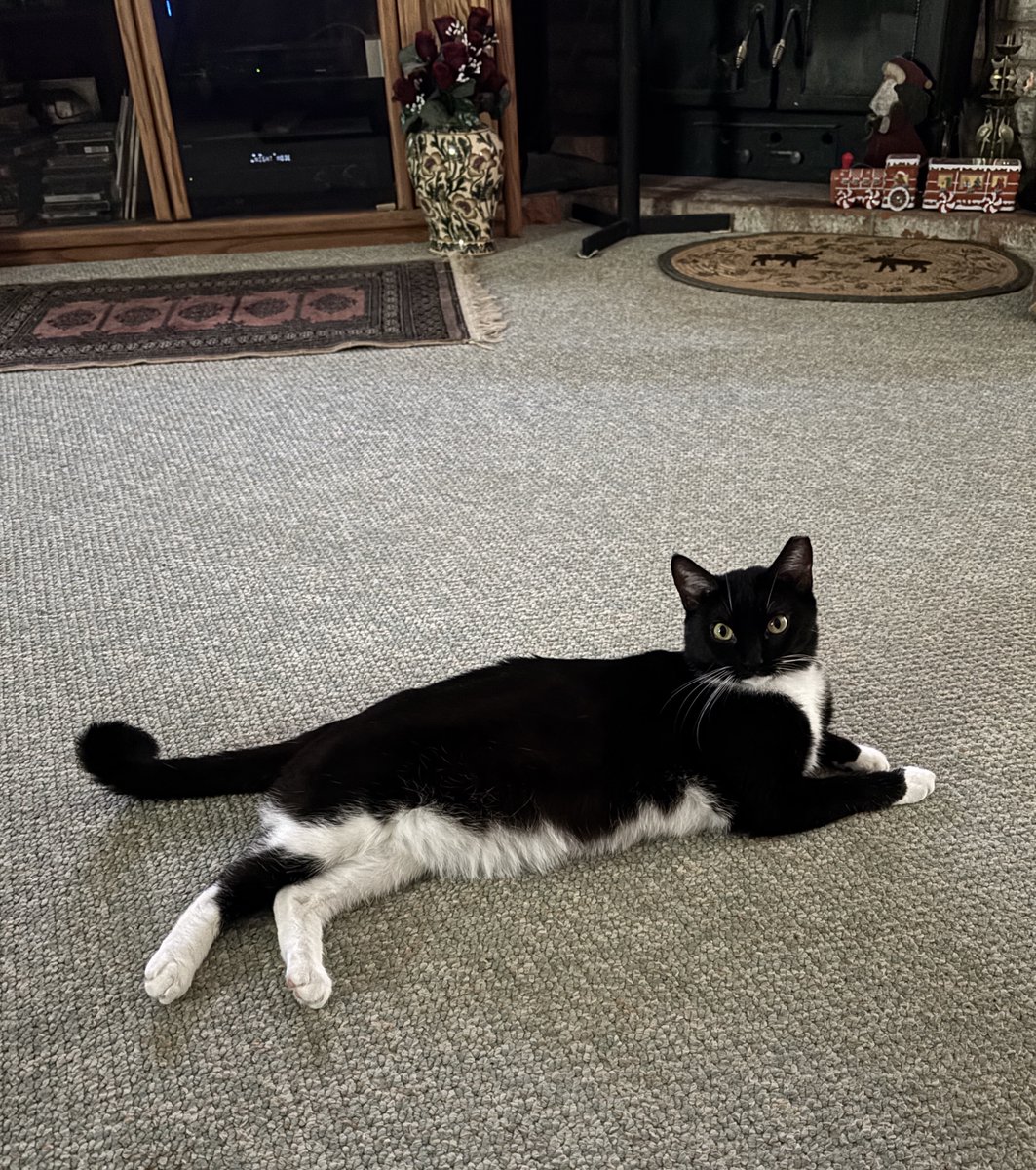 monica dupont tweet media