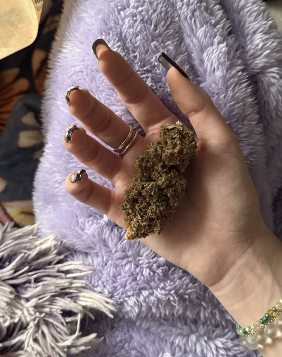 jia ‧₊˚⋆˚𝜗𝜚˚⋆ tweet media