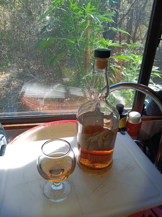 Filmslayer420 tweet media