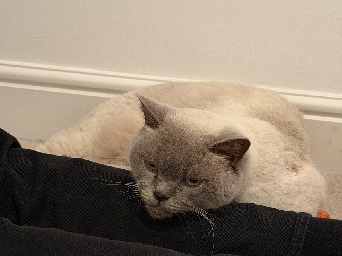 Steve Fraser tweet media