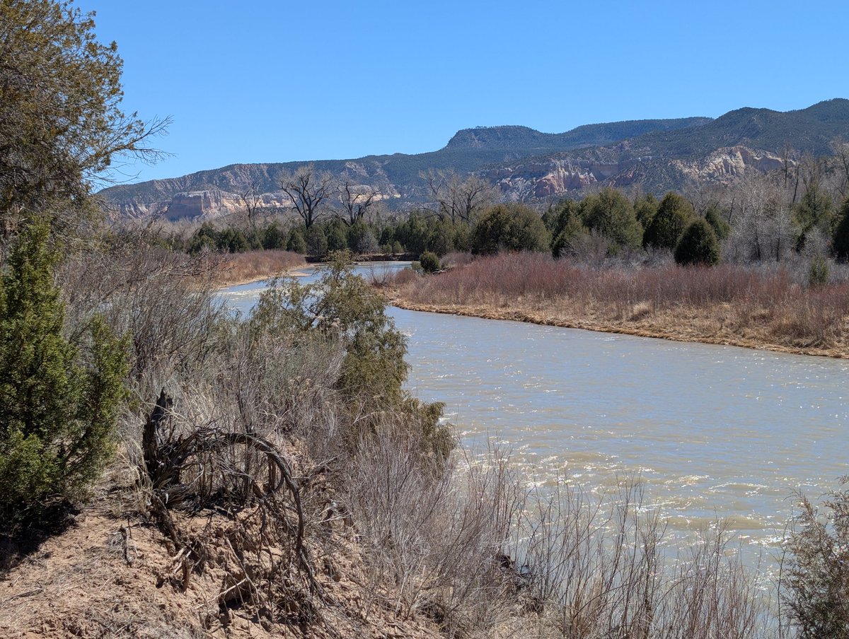 Loralee Logan 🌻🌻🌻 tweet media