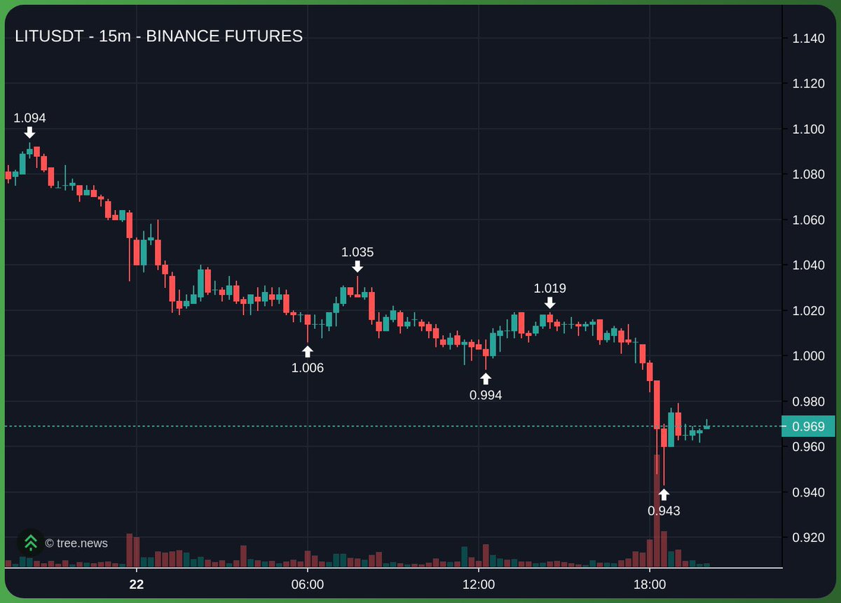 Xtine Fang tweet media