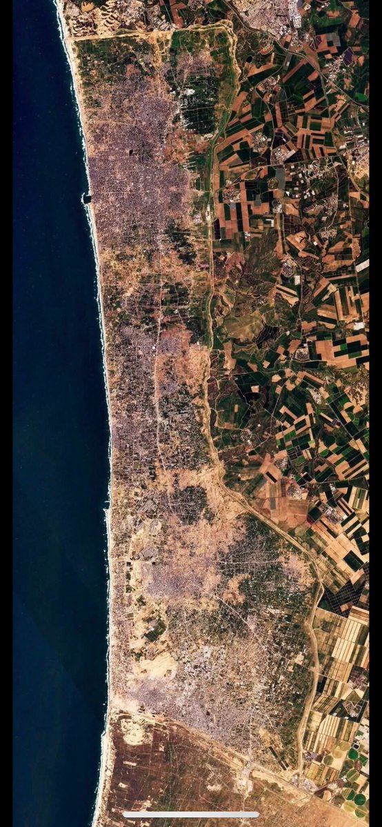 Harvey Fenster tweet media