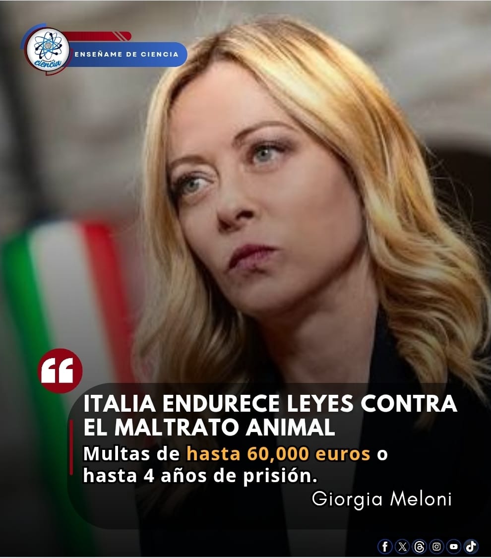 Enséñame de Ciencia tweet media