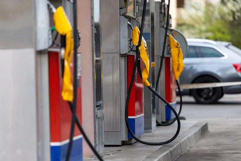 Slavic Networks tweet media