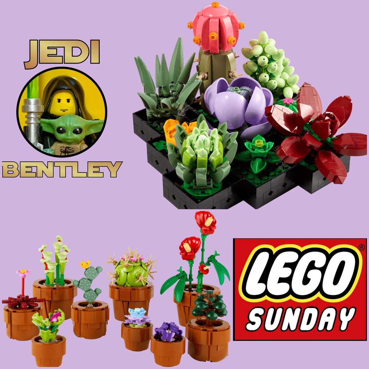 Jedi Bentley 💡🗡 tweet media