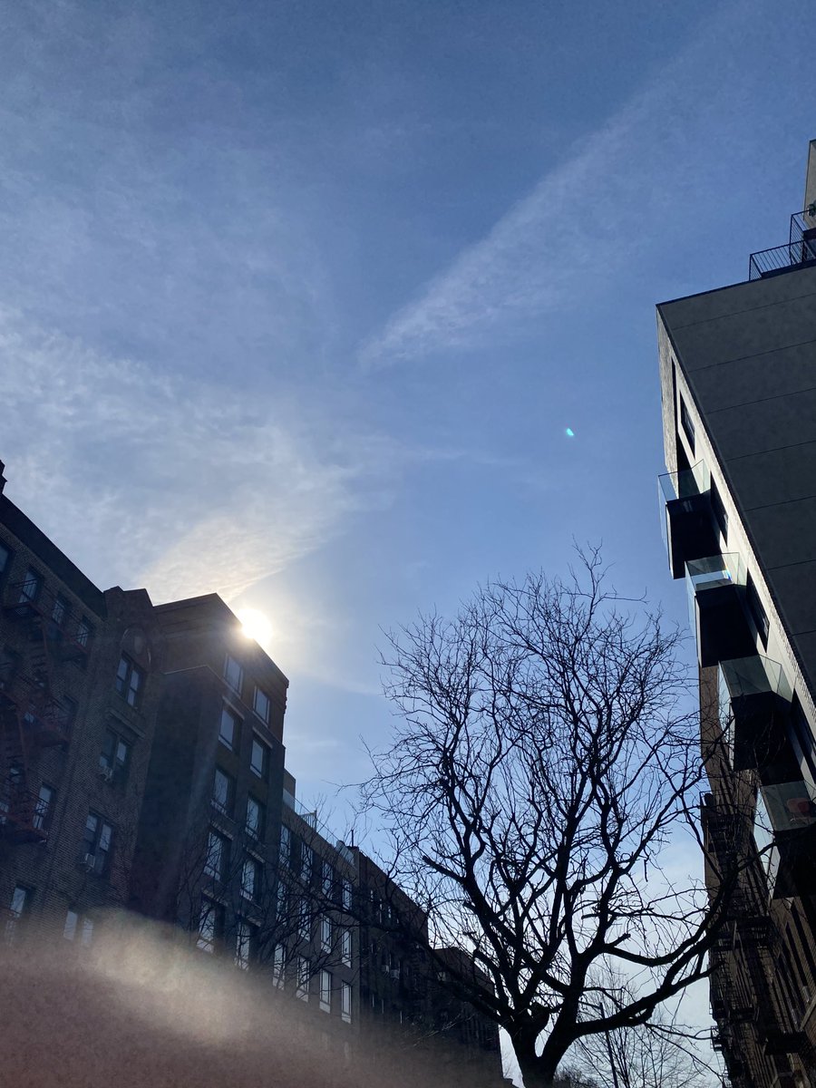 Dr. Naomi Wolf. 8 NYT Bestsellers. DPhil, Poetry. tweet media