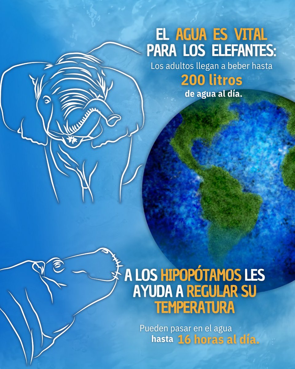 Africam Safari tweet media