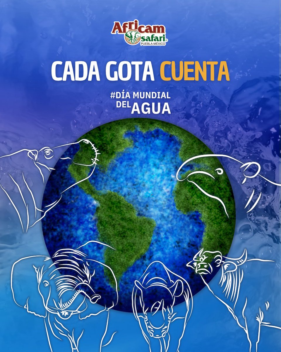 Africam Safari tweet media