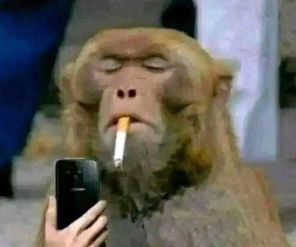 Thambo lenyoka 🇿🇦 tweet media