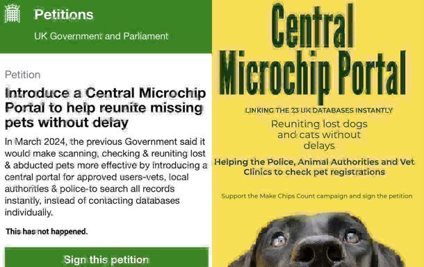 Lisa Clare Read 💙 tweet media