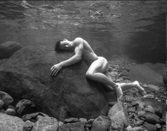 Taram Boyle romancier 🏳️🌈 tweet media