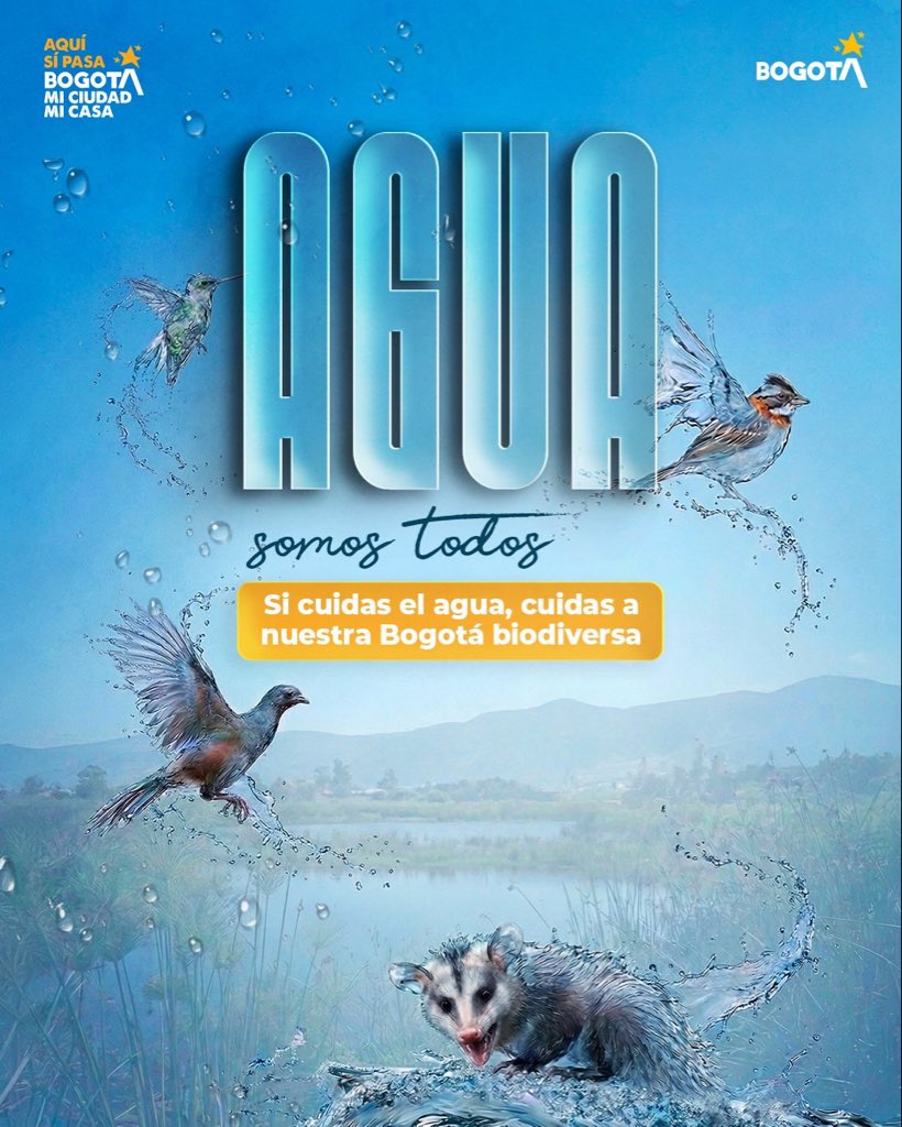 Corresponsal Ambiental tweet media