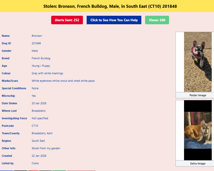 Pawprints Dog Rescue (UK) tweet media