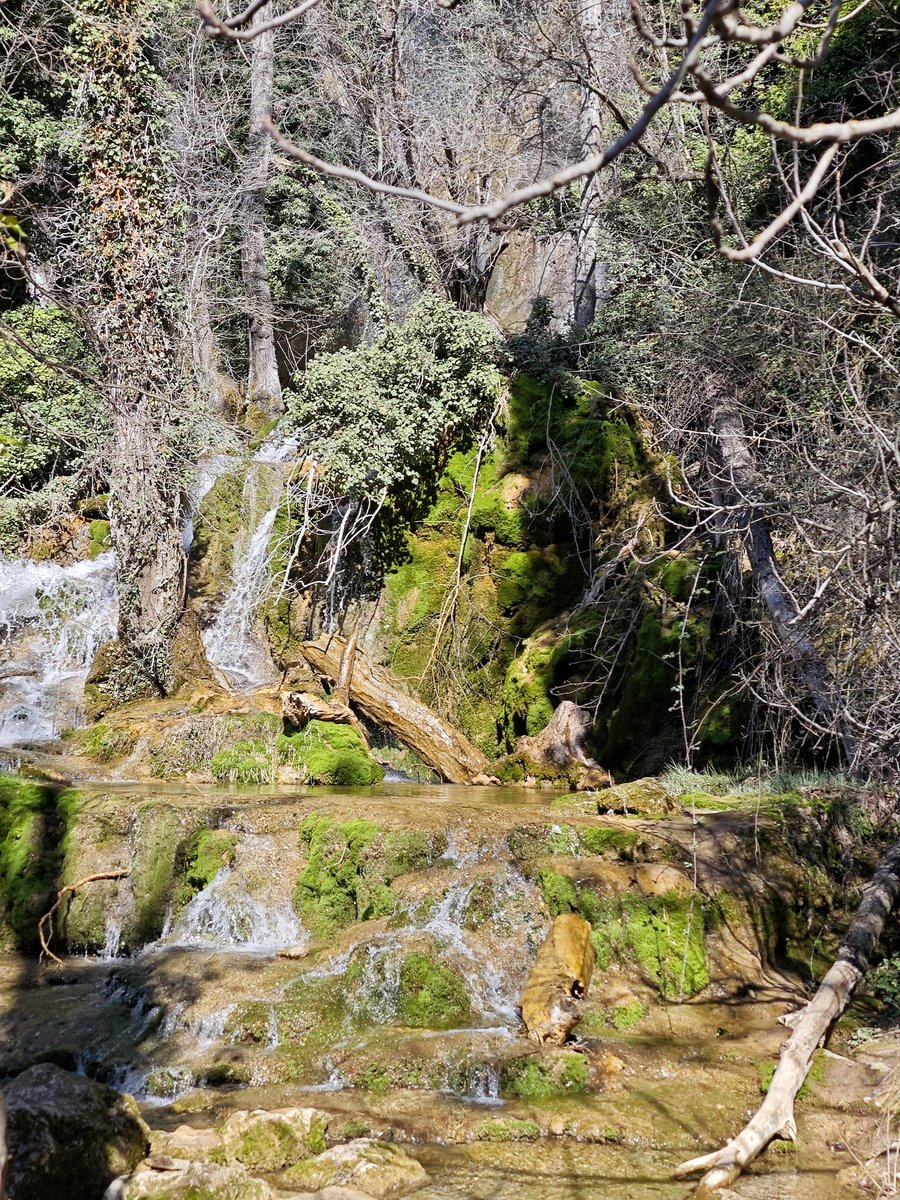 Al Filo Infrüngible tweet media