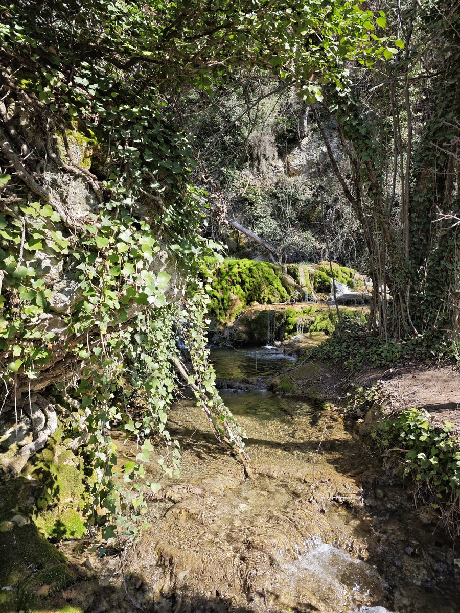 Al Filo Infrüngible tweet media