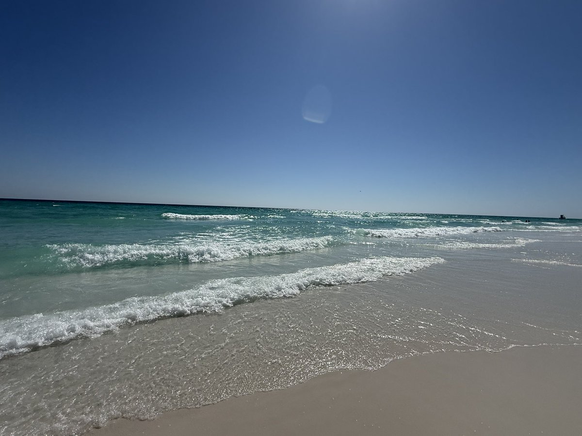 Zachary Hall tweet media