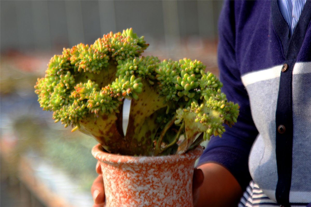 Martin Benitez tweet media