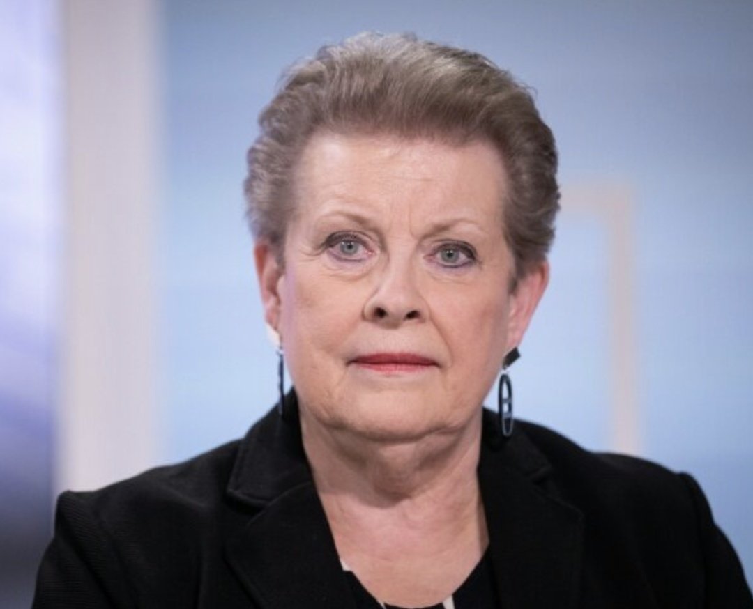 Surmulot tweet media