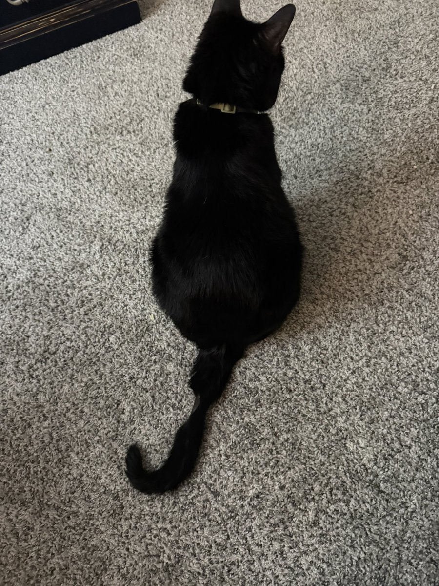 Fiction-L tweet media