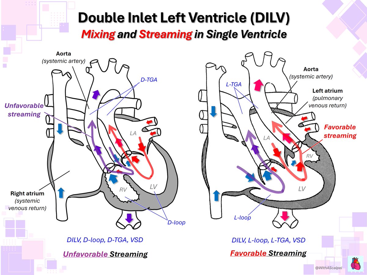 WithAScalpel tweet media