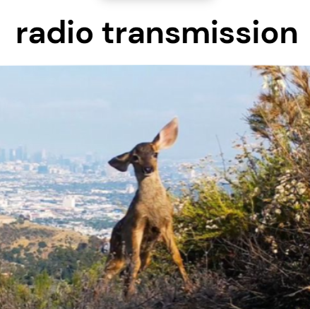 John fawn tweet media