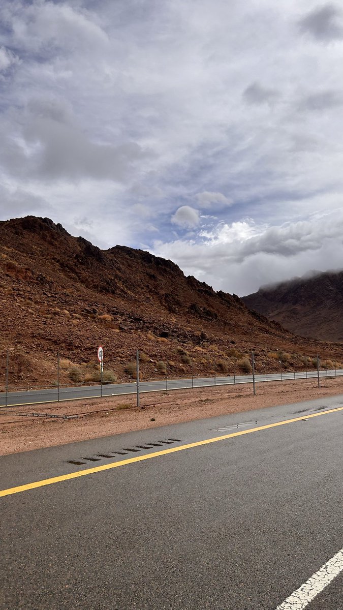 فُےـٱطٌمة#إلا_الوطن tweet media