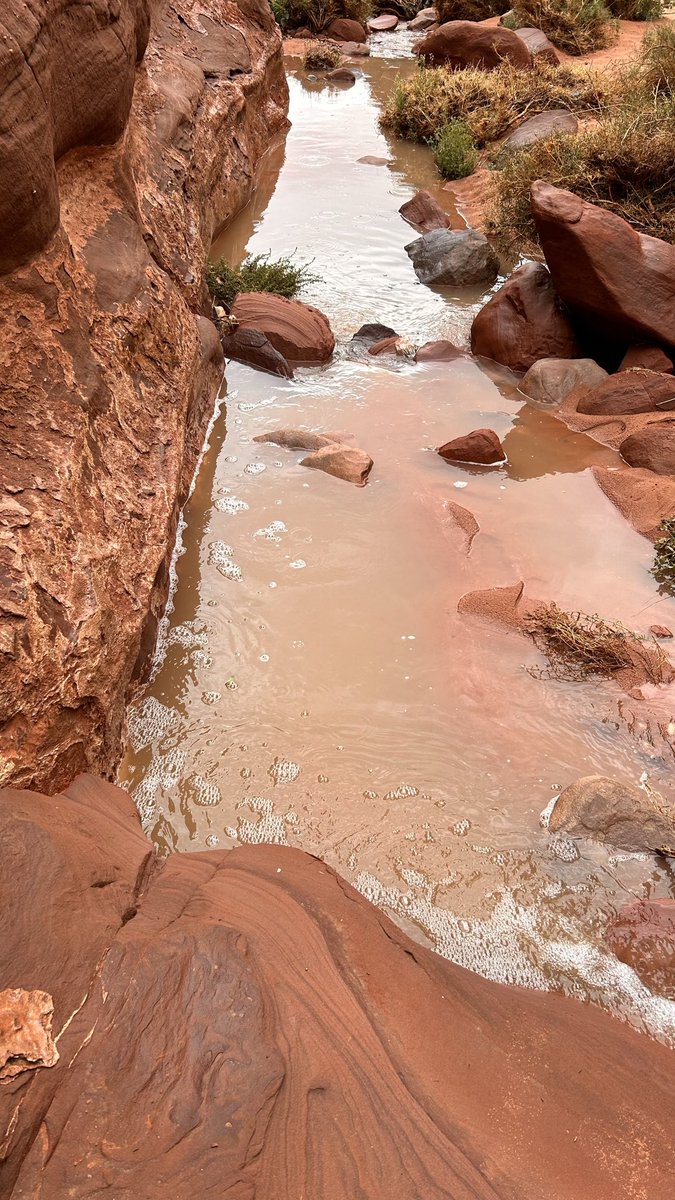 فُےـٱطٌمة#إلا_الوطن tweet media