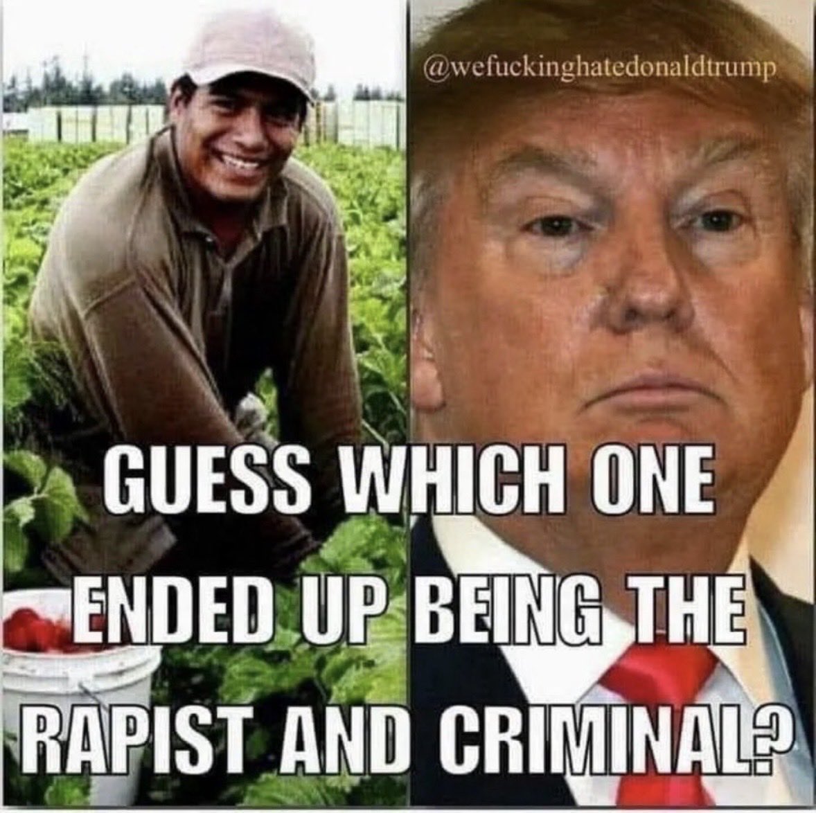 mowen10264 tweet media