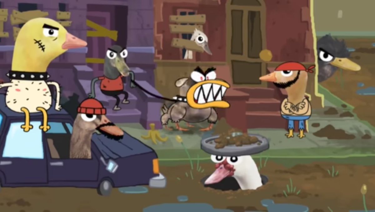 MisterCocho (Graduado) tweet media