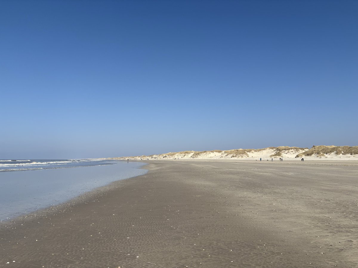 Ben Griffis tweet media